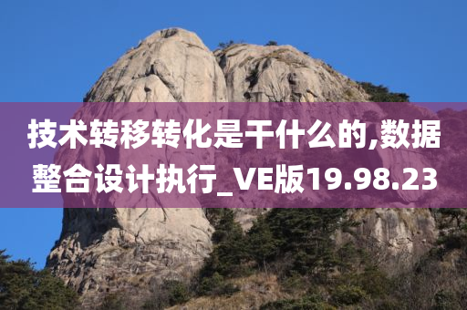 技术转移转化是干什么的,数据整合设计执行_VE版19.98.23