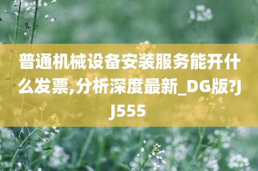 普通机械设备安装服务能开什么发票,分析深度最新_DG版?JJ555