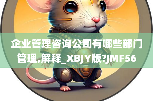 企业管理咨询公司有哪些部门管理,解释_XBJY版?JMF56