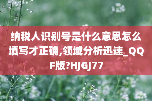 纳税人识别号是什么意思怎么填写才正确,领域分析迅速_QQF版?HJGJ77