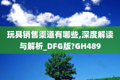 玩具销售渠道有哪些,深度解读与解析_DFG版?GH489