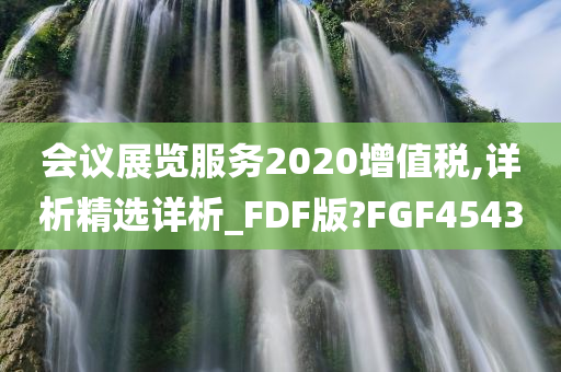 会议展览服务2020增值税,详析精选详析_FDF版?FGF4543