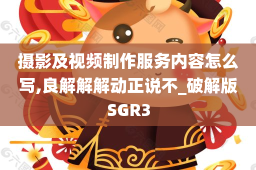 摄影及视频制作服务内容怎么写,良解解解动正说不_破解版SGR3