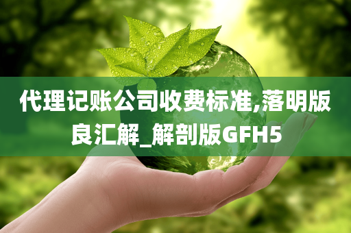 代理记账公司收费标准,落明版良汇解_解剖版GFH5