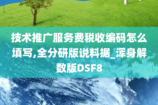 技术推广服务费税收编码怎么填写,全分研版说料据_浑身解数版DSF8