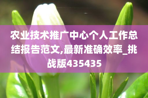 农业技术推广中心个人工作总结报告范文,最新准确效率_挑战版435435