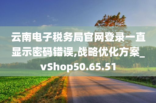 云南电子税务局官网登录一直显示密码错误,战略优化方案_vShop50.65.51