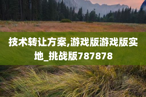 技术转让方案,游戏版游戏版实地_挑战版787878