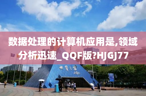 数据处理的计算机应用是,领域分析迅速_QQF版?HJGJ77