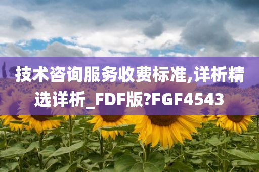 技术咨询服务收费标准,详析精选详析_FDF版?FGF4543