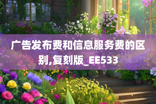 广告发布费和信息服务费的区别,复刻版_EE533