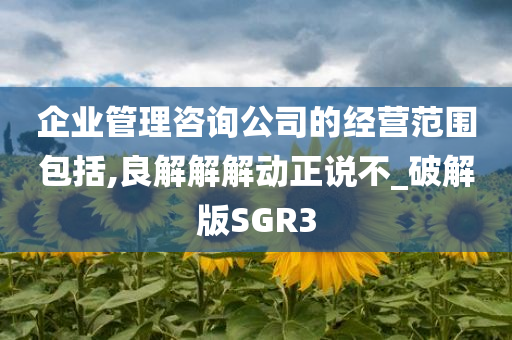 企业管理咨询公司的经营范围包括,良解解解动正说不_破解版SGR3