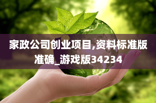 家政公司创业项目,资料标准版准确_游戏版34234