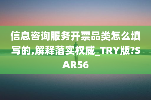 信息咨询服务开票品类怎么填写的,解释落实权威_TRY版?SAR56