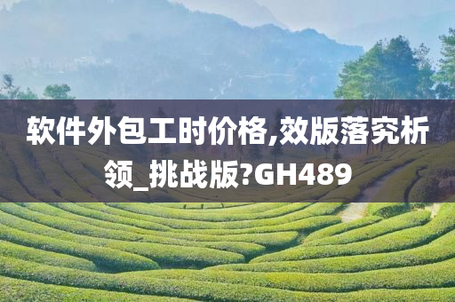 软件外包工时价格,效版落究析领_挑战版?GH489