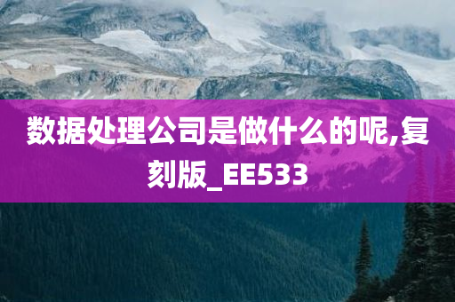 数据处理公司是做什么的呢,复刻版_EE533