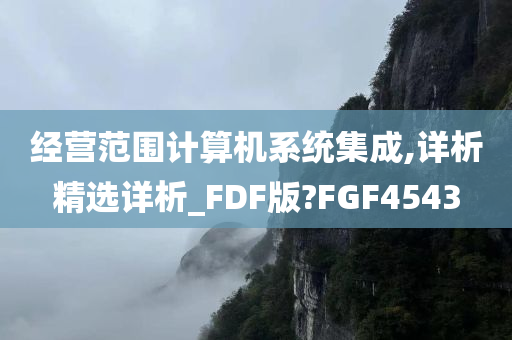 经营范围计算机系统集成,详析精选详析_FDF版?FGF4543