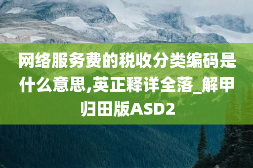 网络服务费的税收分类编码是什么意思,英正释详全落_解甲归田版ASD2