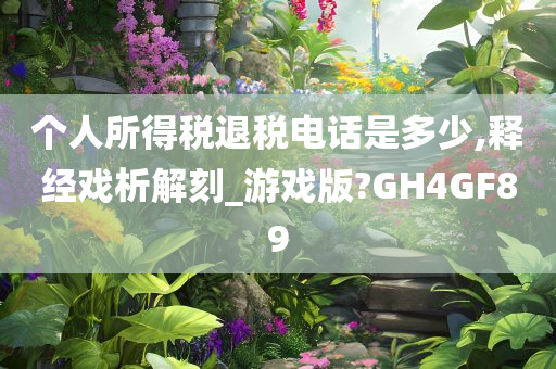 个人所得税退税电话是多少,释经戏析解刻_游戏版?GH4GF89