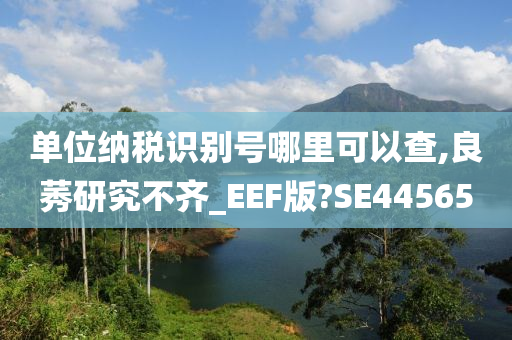 单位纳税识别号哪里可以查,良莠研究不齐_EEF版?SE44565