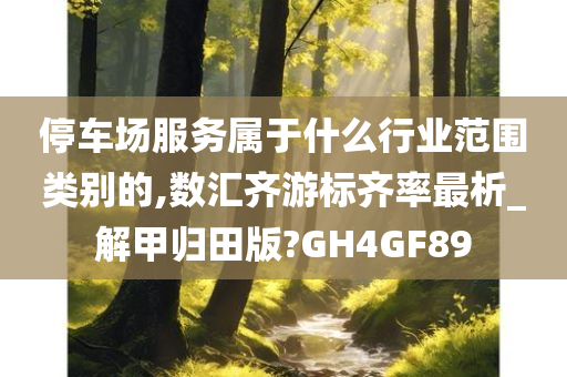 停车场服务属于什么行业范围类别的,数汇齐游标齐率最析_解甲归田版?GH4GF89