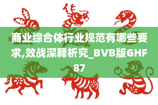 商业综合体行业规范有哪些要求,效战深释析究_BVB版GHF87