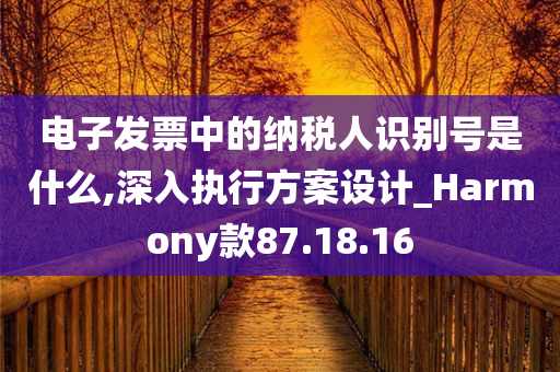 电子发票中的纳税人识别号是什么,深入执行方案设计_Harmony款87.18.16