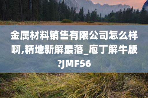 金属材料销售有限公司怎么样啊,精地新解最落_庖丁解牛版?JMF56