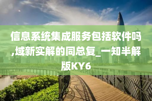 信息系统集成服务包括软件吗,域新实解的同总复_一知半解版KY6