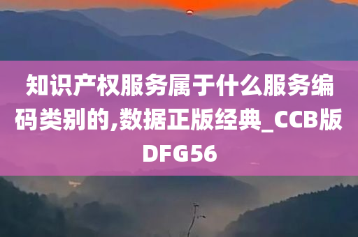 知识产权服务属于什么服务编码类别的,数据正版经典_CCB版DFG56