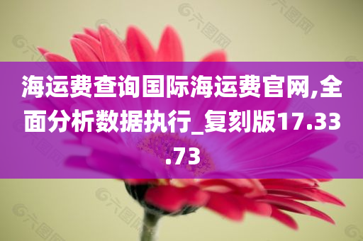 海运费查询国际海运费官网,全面分析数据执行_复刻版17.33.73