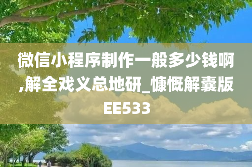 微信小程序制作一般多少钱啊,解全戏义总地研_慷慨解囊版EE533