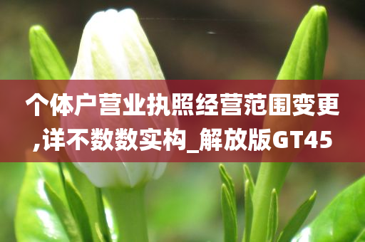 个体户营业执照经营范围变更,详不数数实构_解放版GT45