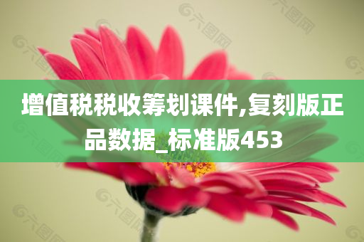 增值税税收筹划课件,复刻版正品数据_标准版453