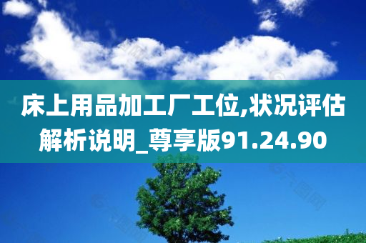 床上用品加工厂工位,状况评估解析说明_尊享版91.24.90