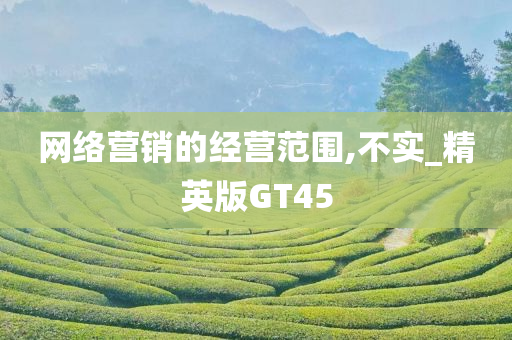 网络营销的经营范围,不实_精英版GT45