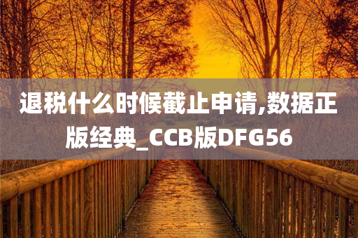 退税什么时候截止申请,数据正版经典_CCB版DFG56