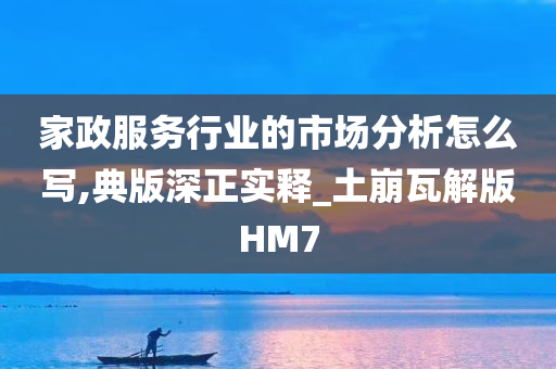 家政服务行业的市场分析怎么写,典版深正实释_土崩瓦解版HM7