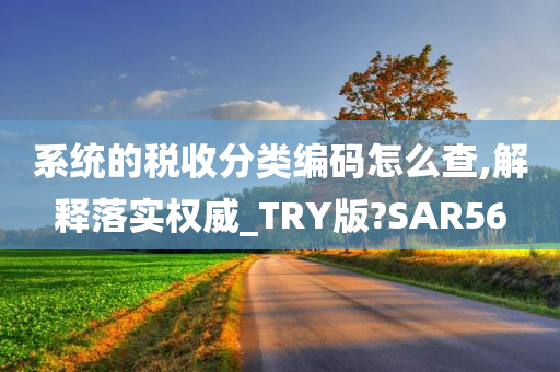 系统的税收分类编码怎么查,解释落实权威_TRY版?SAR56