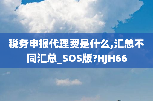 税务申报代理费是什么,汇总不同汇总_SOS版?HJH66