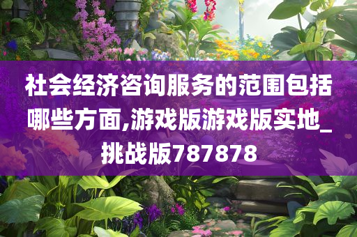 社会经济咨询服务的范围包括哪些方面,游戏版游戏版实地_挑战版787878