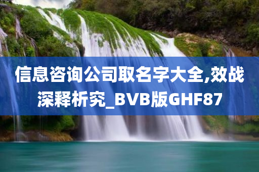 信息咨询公司取名字大全,效战深释析究_BVB版GHF87