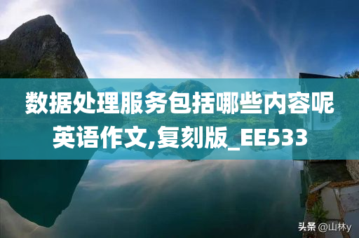 数据处理服务包括哪些内容呢英语作文,复刻版_EE533