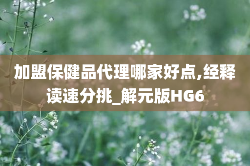 加盟保健品代理哪家好点,经释读速分挑_解元版HG6