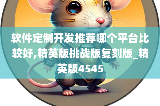 软件定制开发推荐哪个平台比较好,精英版挑战版复刻版_精英版4545