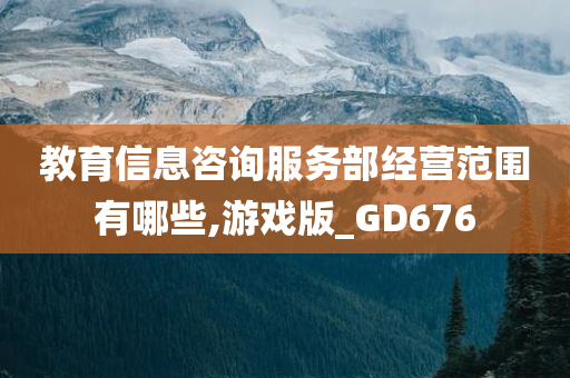 教育信息咨询服务部经营范围有哪些,游戏版_GD676