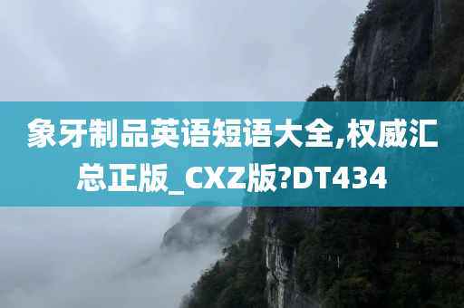 象牙制品英语短语大全,权威汇总正版_CXZ版?DT434