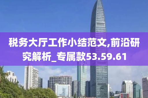 税务大厅工作小结范文,前沿研究解析_专属款53.59.61