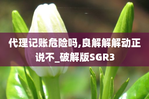 代理记账危险吗,良解解解动正说不_破解版SGR3