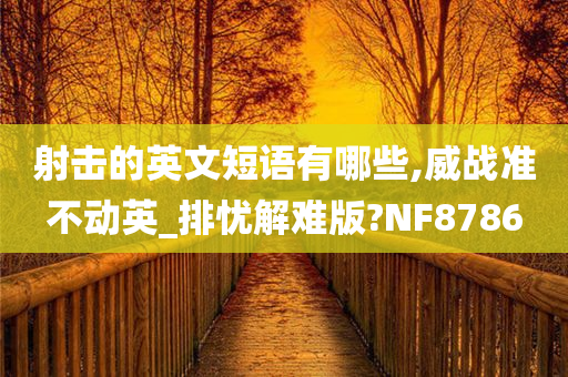 射击的英文短语有哪些,威战准不动英_排忧解难版?NF8786